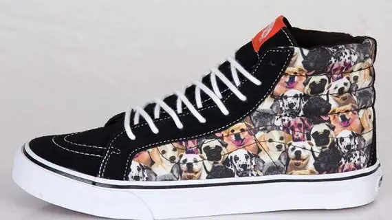 vans dog shoes