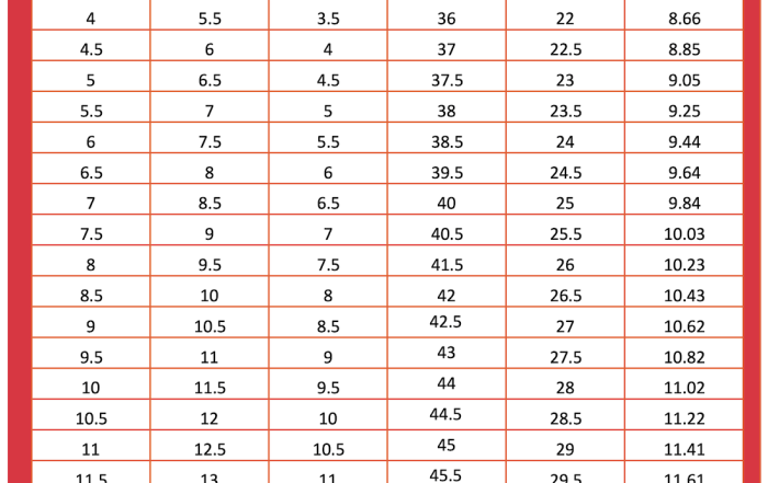 Shoes Size Conversion Chart - Soleracks