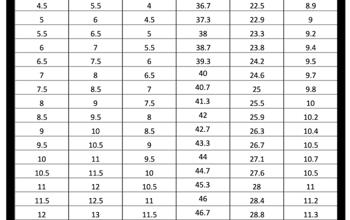 Shoes Size Conversion Chart Soleracks